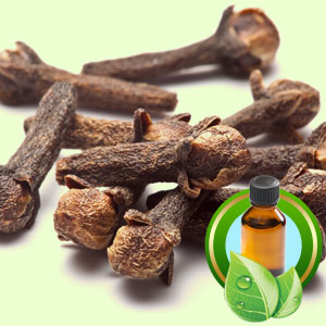 1oz Clove Bud Organic Essential Oil